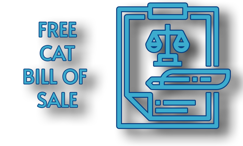 A Free Cat Bill of Sale Template