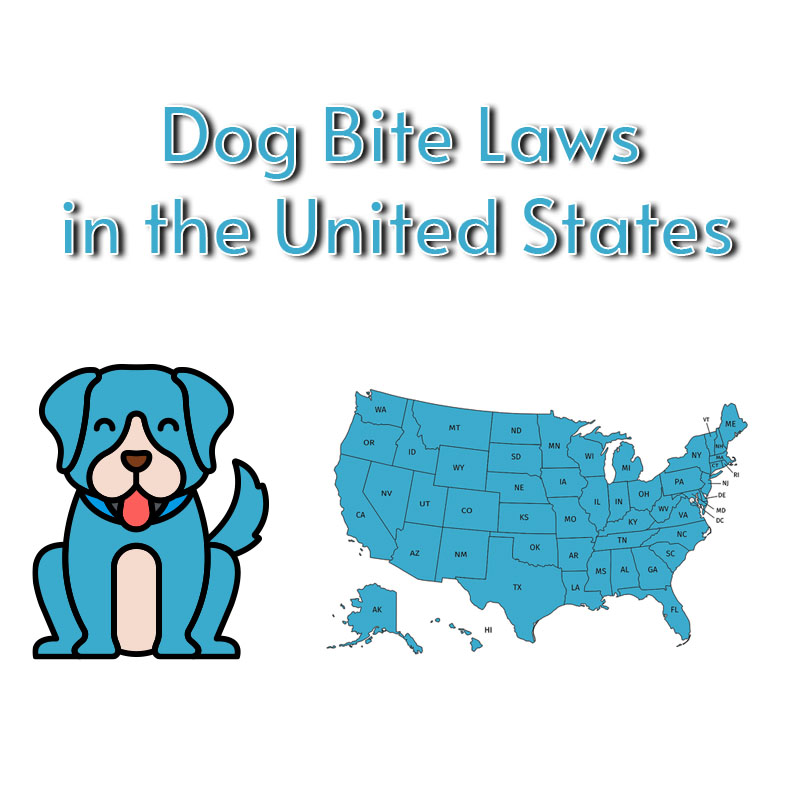 A chart showing all the dog bite laws of varying states
